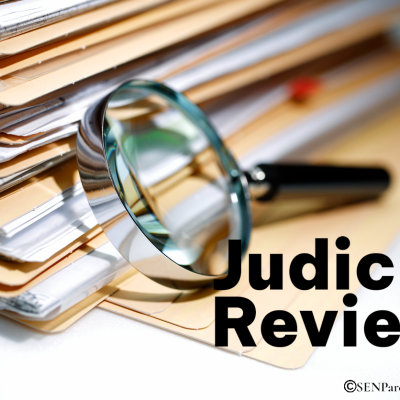 Judicial Review – What it is?